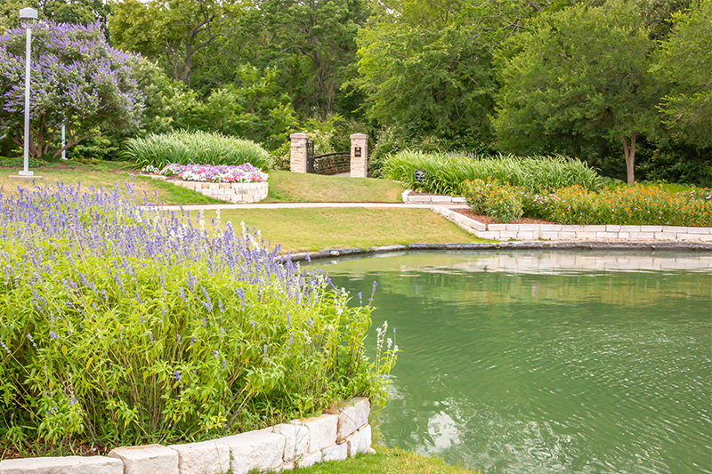 garden and pond