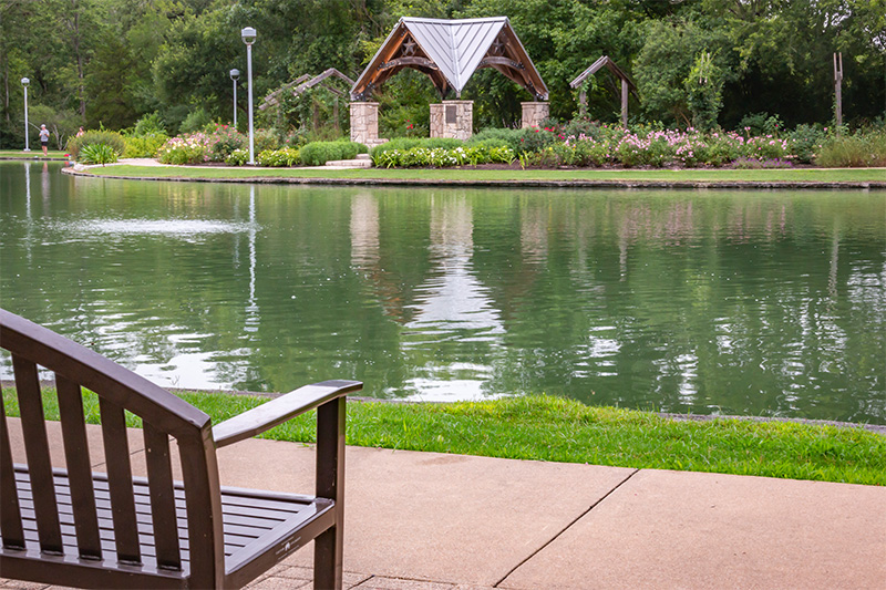 bench overlooking pond